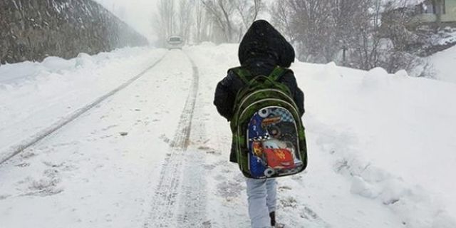 3 kentte eğitime kar yağışı nedeniyle ara verildi