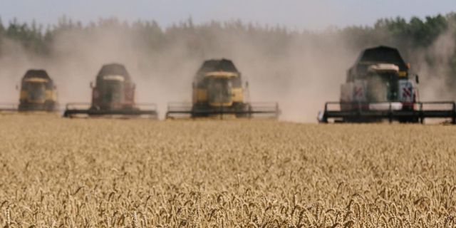 "Çiftçiyi kurtaracak bir fiyat olmazsa önümüzdeki yıl 10 liraya buğday ithal etmek zorunda kalırız"