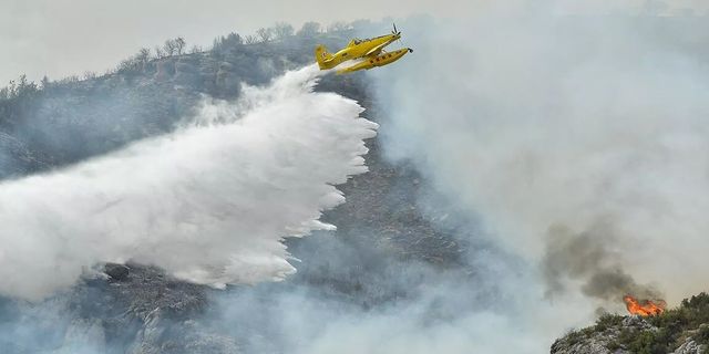 İspanya'daki orman yangınları 20 bin hektardan fazla alana yayıldı
