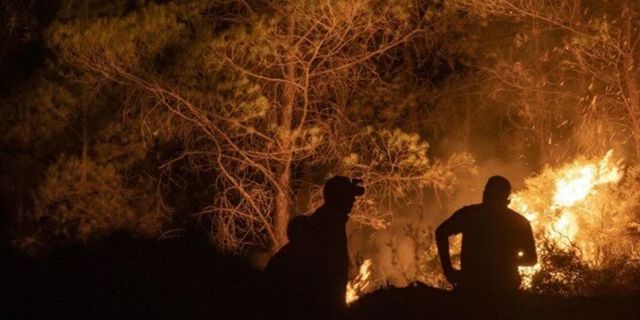 Marmaris'teki orman yangınını çıkaran kişi tutuklandı