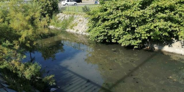 İSKİ: Pendik'teki kötü kokunun sebebi yağışla gelen organik maddelerin çökelti oluşturması