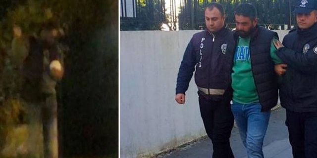 Yavru köpeği ısırıp döven kişi gözaltına alındı