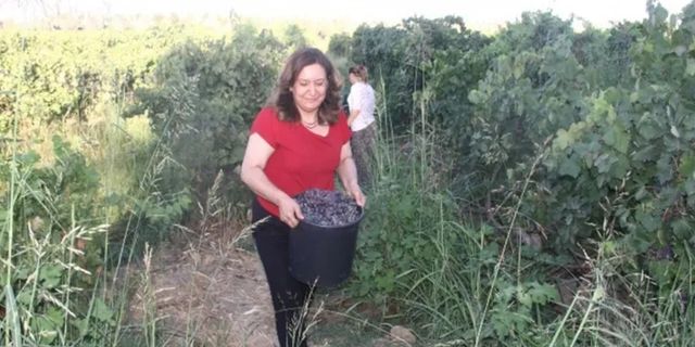 Bismil Belediye Eşbaşkanı Gülşen Özer’e 15 yıl hapis