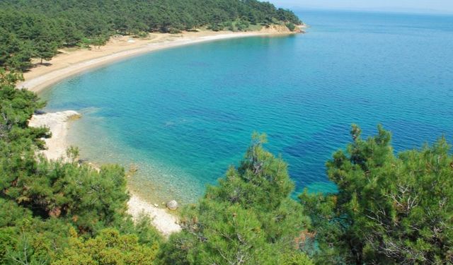 CHP Edirne Milletvekili Ediz Ün'den TBMM'ye Saros Körfezi önergesi
