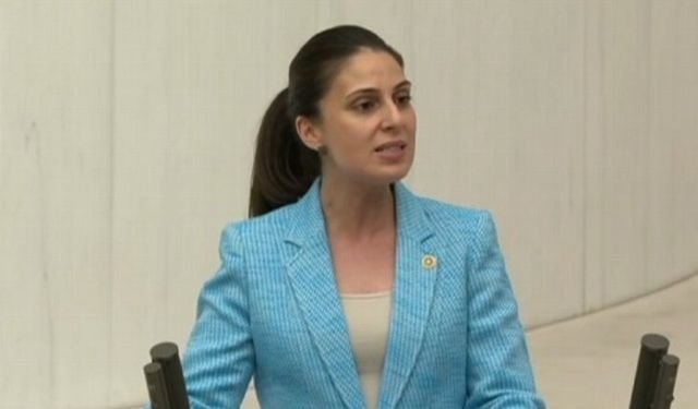 CHP Muğla Milletvekili Avukat Gizem Özcan'dan 'ek bütçe' tepkisi
