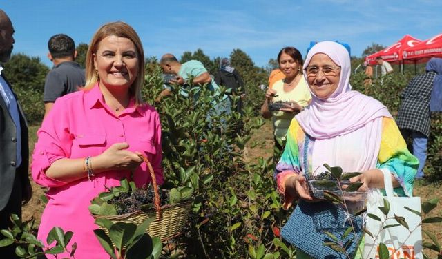 İzmit’te süper meyve aronya hasadı mutluluğu