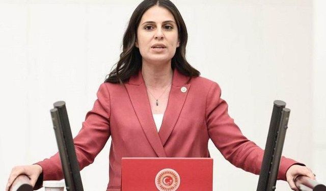 CHP Muğla Milletvekili Özcan: "Bu yatırım programı haksızlık sertifikasıdır"