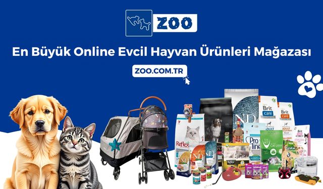 Kedi Maması Ekonomik Fiyatlarla Zoo.com.tr’de!