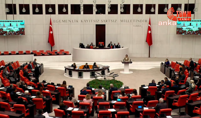 TBMM'de Demirtaş'ın AİHM kararı tartışması