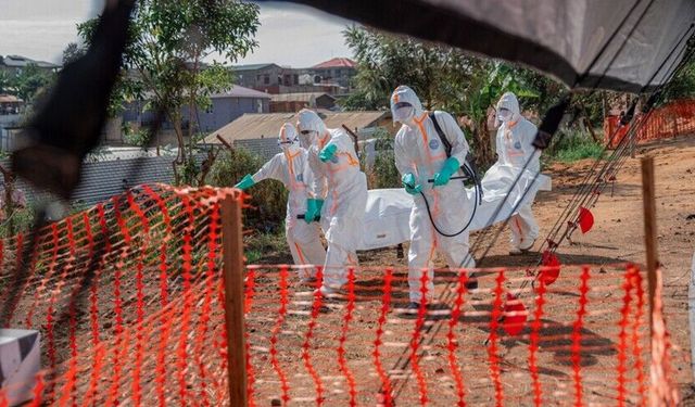 Ebola Kongo'da yayılıyor: Vaka sayısı 1155'e ulaştı