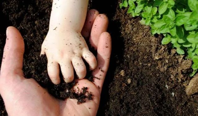 Toprakla temas bağışıklığı güçlendirebilir: Bilim ne diyor?