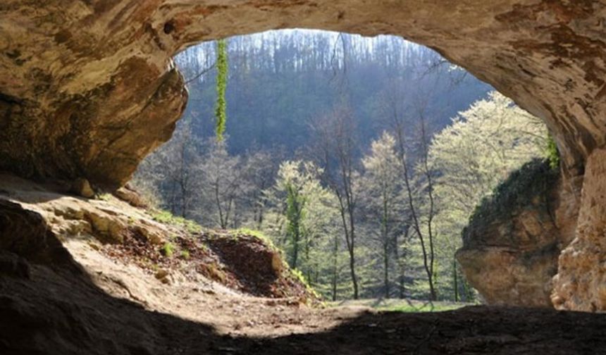 Mağara tortularında nesli tükenmiş insanların DNA'sı keşfedildi