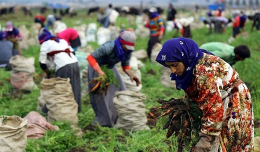 Tarım işçisi kadınlar anlatıyor: Molada ikinci çayı bile içirtmiyorlar
