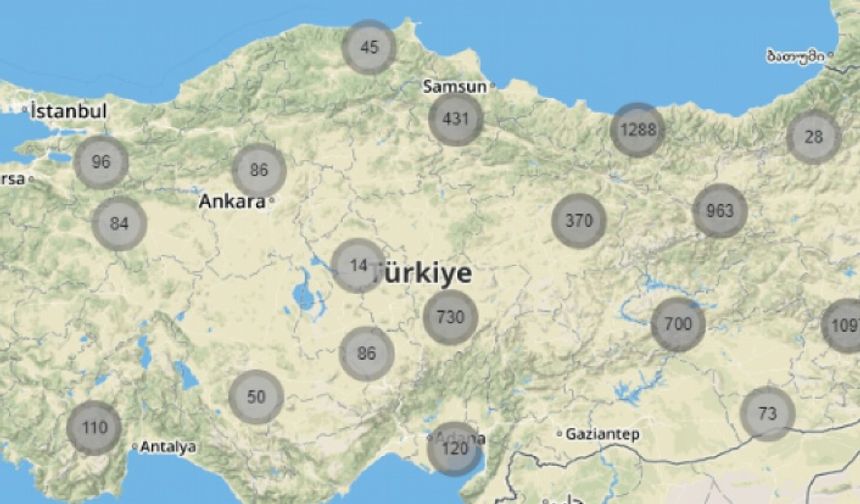 Hrant Dink Vakfı: Türkiye Kültür Varlıkları haritamız kullanılarak define avına çıkıldı