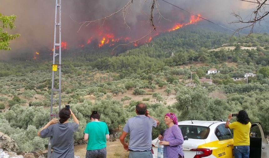 Orman yangınlarında son durum: 5 ilde 13 yangın devam ediyor