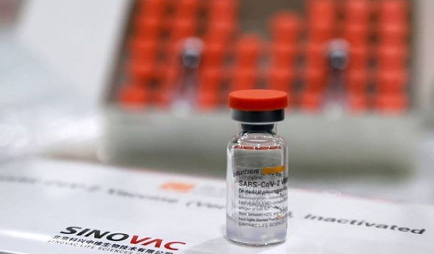 Alman yargısı: Sinovac aşısı olanlara seyahat kısıtlaması hukuki