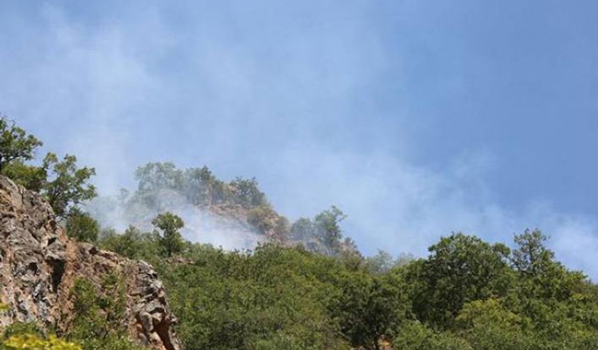 Munzur Vadisi Milli Parkı'ndaki yangın kontrol altına alındı