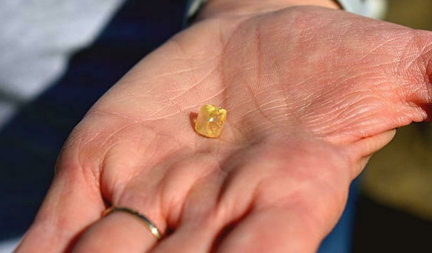 Parkta dolaşırken 4 karatlık elmas buldu