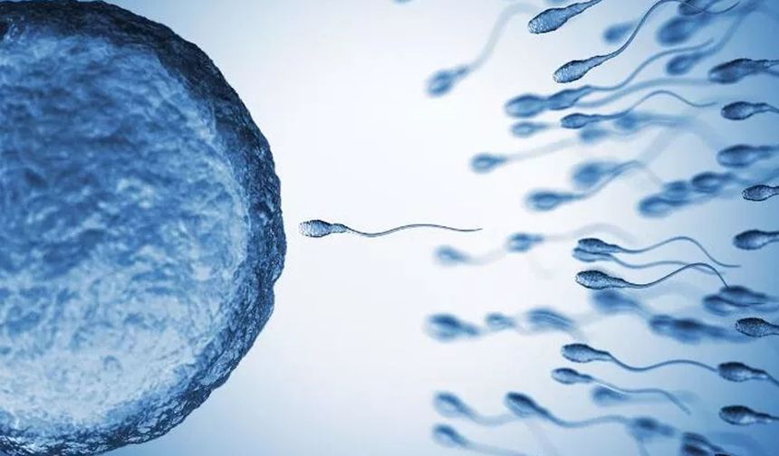 Araştırma: Hava kirliliği sperm sayısında azalmaya neden oluyor