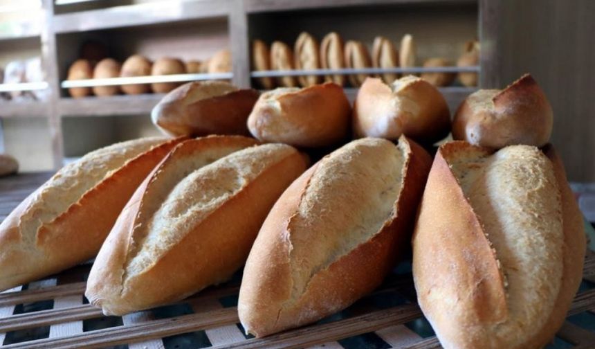 Elazığ'da ekmek ve ulaşıma zam