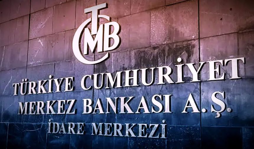 Dünya yazarı Aktaş: Merkez Bankası, Hazine'nin döviziyle kâr etmişse bu suçtur