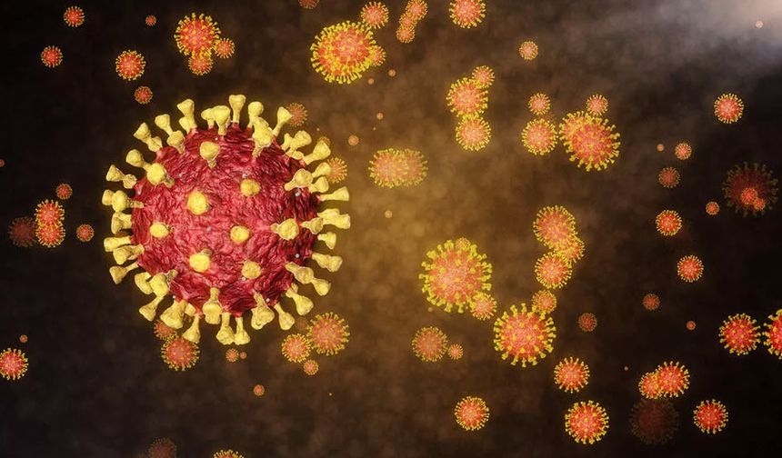 Koronavirüsün yeni bir varyantı daha ortaya çıktı