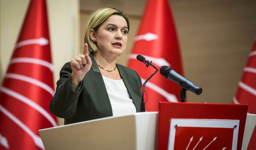 CHP’li Selin Sayek Böke, AKPM Komite Başkanlığı'na seçildi