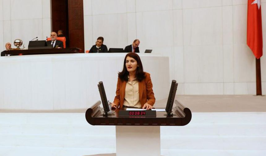 Komisyon HDP'li Semra Güzel'e savunma yapması için süre verdi
