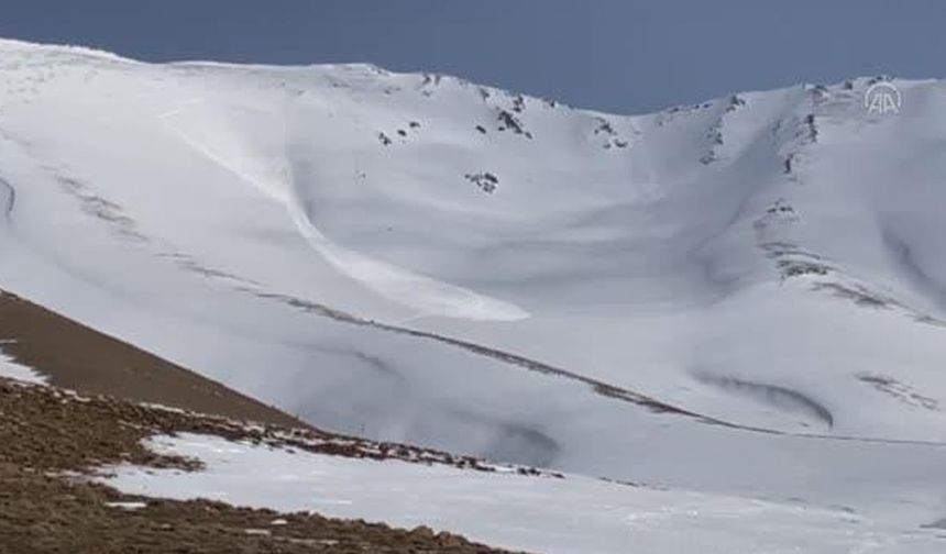 Van'da dağlık bölgede kayak yapan İtalyan dağcıların 4 üyesi çığ altında kaldı