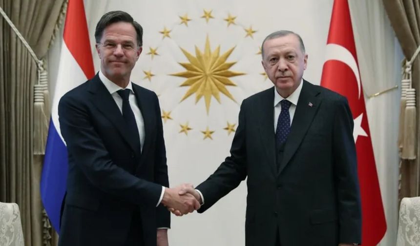 Cumhurbaşkanı Erdoğan, Hollanda Başbakanı Rutte'yle görüştü