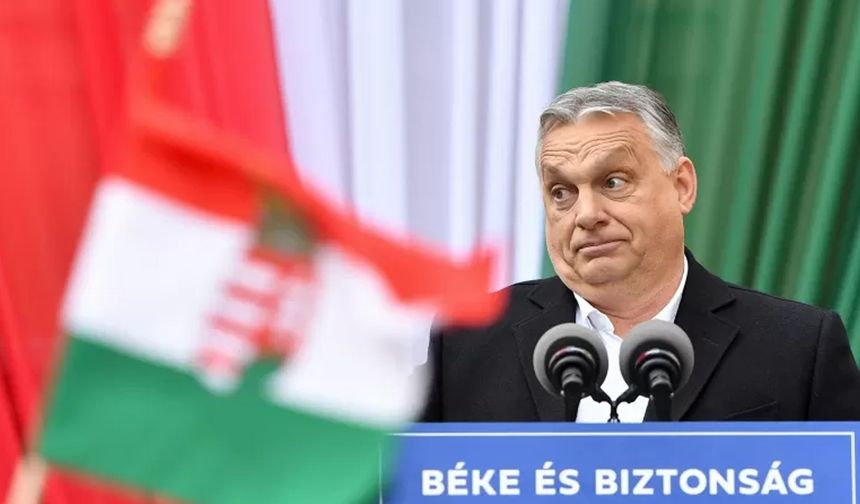 Macaristan'da seçimler: Viktor Orban için tamam mı, devam mı?