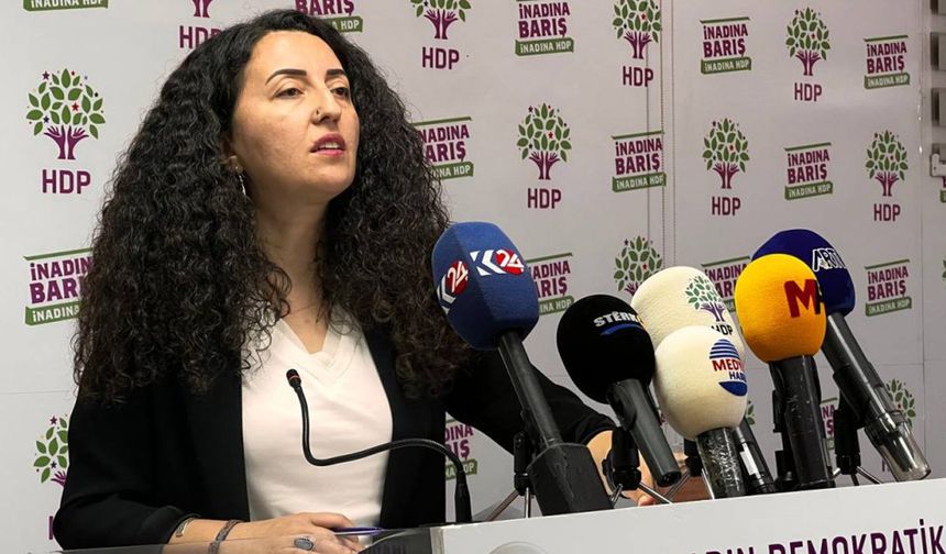 HDP’li Günay: Kürt sorunu, Kürtlerin siyaset sahnesinin dışına atılmasıyla çözülemez