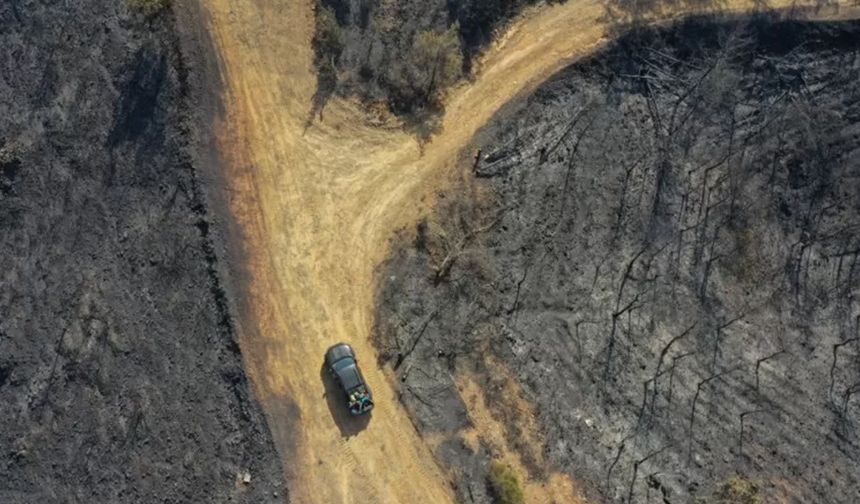 Orman yangınları önergesi AKP ve MHP oylarıyla reddedildi