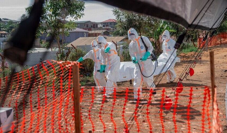Ebola Kongo'da yayılıyor: Vaka sayısı 1155'e ulaştı