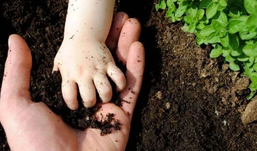Toprakla temas bağışıklığı güçlendirebilir: Bilim ne diyor?
