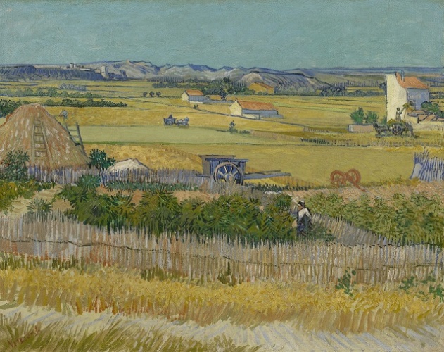 37 yıllık yaşamı boyunca yarattığı eserlerle batılı anlamdaki resim anlayışını derinden etkileyen sayısız esere imza atan Vincent Willem van Gogh, onu sonunda intihara kadar götüren çalkantılı hayatını gördüklerini kendi gözünden tuvale aktarmaya adamıştı.