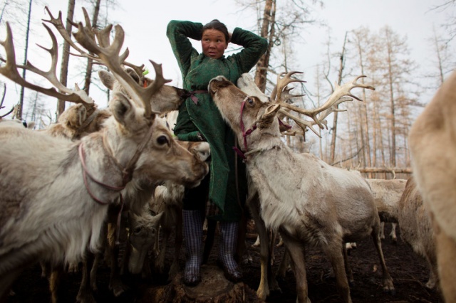 Moğolistan’ın kuzeybatısında yaşayan Türk kökenli Duha halkı, ren geyiği çobanlığı yaparak teknolojiden uzak, tamamen doğal yaşam tarzını sürdürüyor.