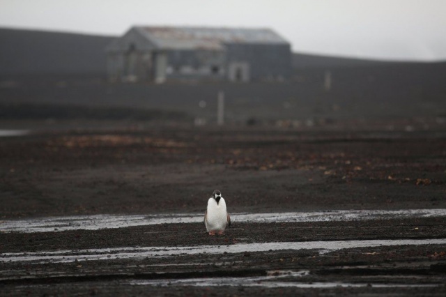 Reuters haber ajansının fotoğrafçısı Alexandre Meneghini, görkemli buzullarla kaplanmış kıtayı gezdi.